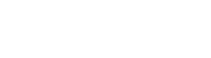ISAE 3000